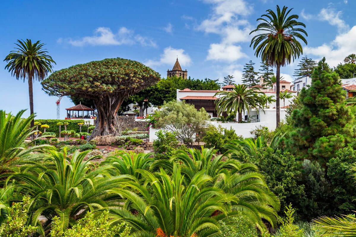 Hotel Jardines de Nivaria